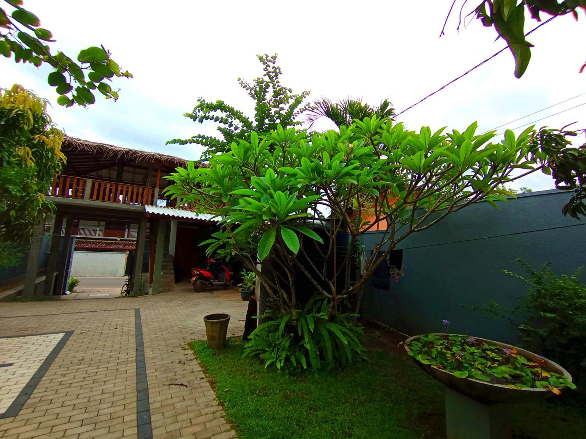 Hotel Lavender Mirissa Exterior foto